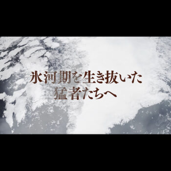 中堅世代転職サービス認知拡大15秒動画